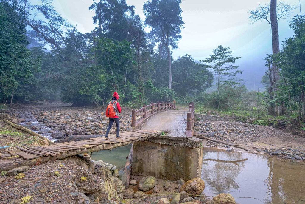 A small footbridge runs through the misty forest of Xuan Son National Park in Phu Tho 