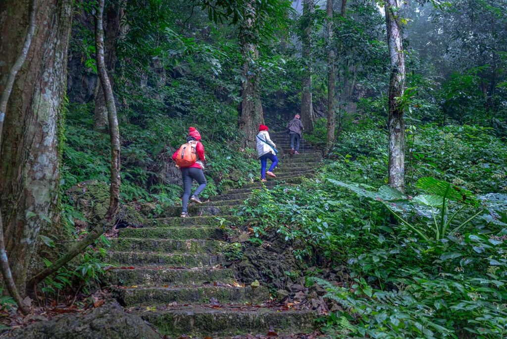 Two travellers walking up a stoned stairs between the jungle of Xuan Son National Park