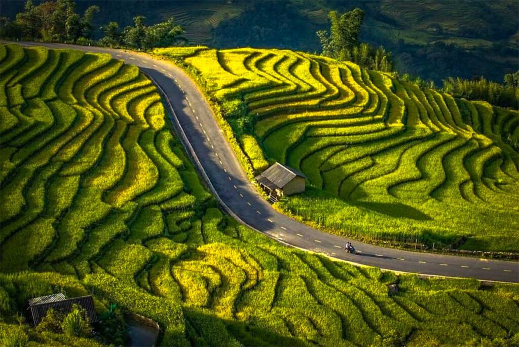 A scenic road through the terrace rice fields of Y Ty