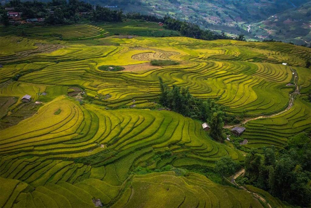 Stunning terraced rice fields around Y Ty
