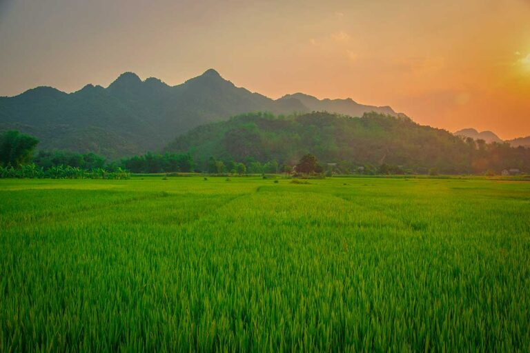 Wide valley with green rice fields and mountains in Mai Chau, a rural destination in northern Vietnam