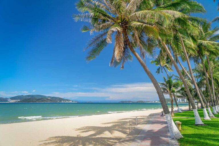 Palm-lined beach promenade in Nha Trang with white sand and clear blue sea