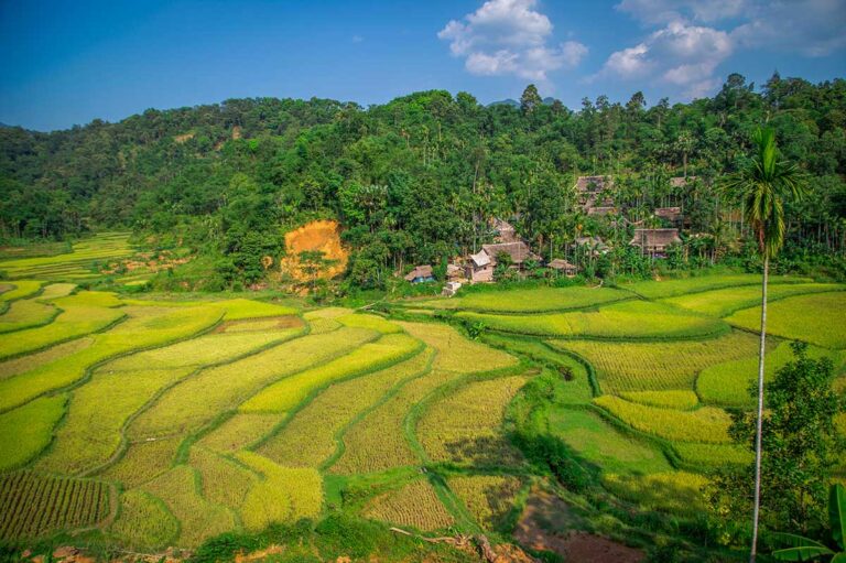 Traditional village surrounded by green rice terraces in Pu Luong Nature Reserve, northern Vietnam