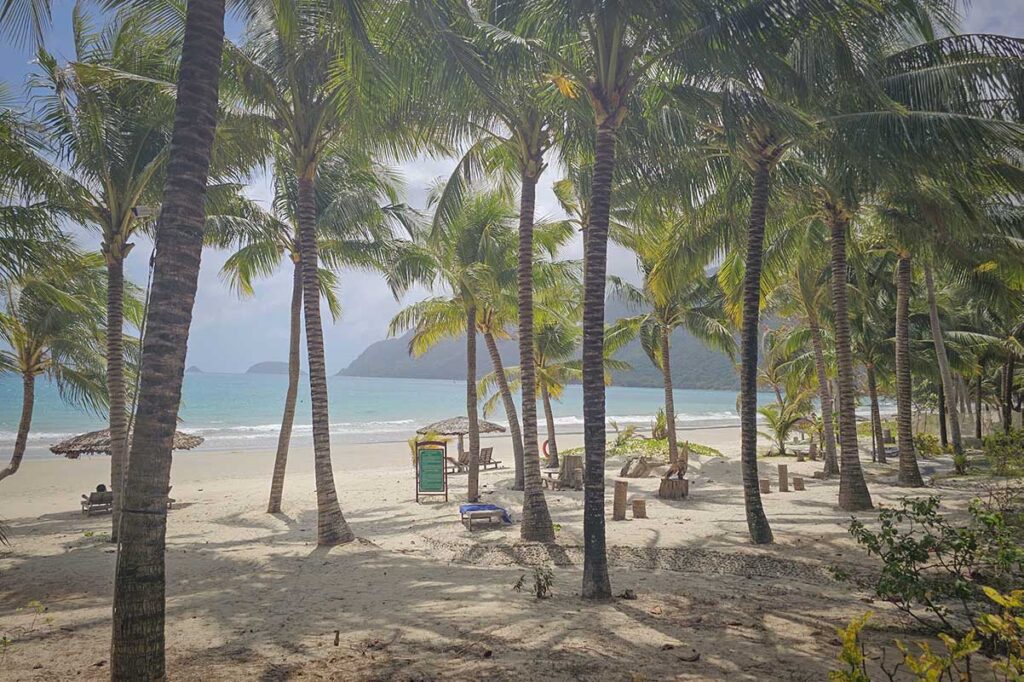 Shaded area with palm trees and beach loungers at An Hai Beach in Con Dao, offering a relaxed setting close to the water.