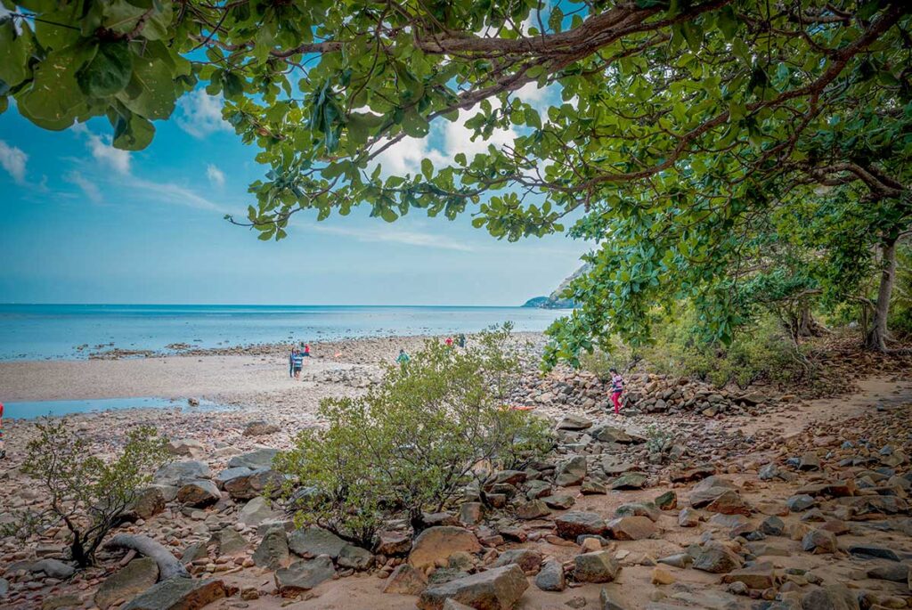 Rocky beach in Con Dao National Park with scattered visitors walking along the shoreline, shaded by trees and overlooking calm blue sea