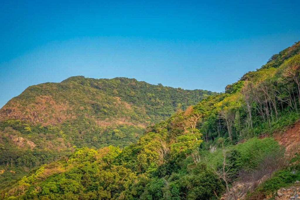 View over forest-covered hills and mountains in Con Dao National Park, showing the island’s dense tropical landscape under a clear blue sky