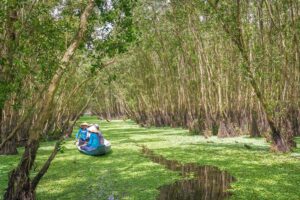 Small boat drifting through a cajuput forest carpeted with water plants, representing high-water scenery in the Mekong Delta in August during the rainy season.