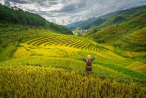 Mu Cang Chai trekking and homestay tour with a local family walking past terraced fields and a water buffalo in the morning sun