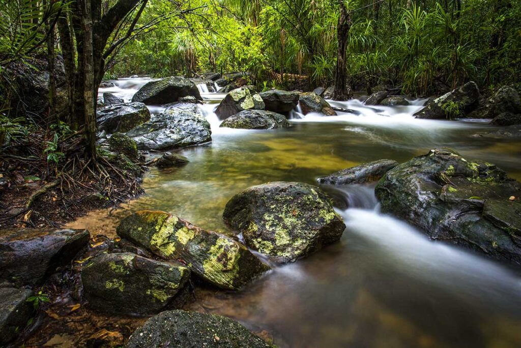 Tropical stream flowing over rocks in Suoi Tranh waterfall area on Phu Quoc, surrounded by dense jungle and natural forest scenery