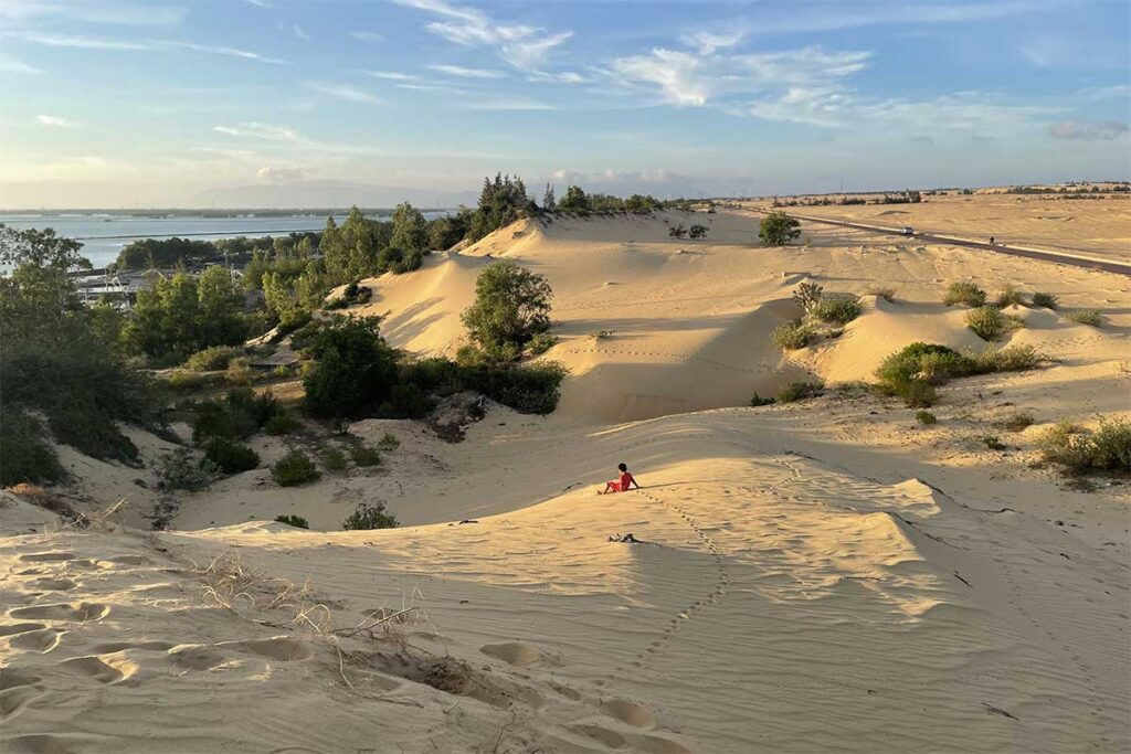 Rolling sand hills of Phuong Mai with small green shrubs and trees, looking towards Thi Nai Lagoon and the surrounding roads