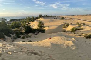 Rolling sand hills of Phuong Mai with small green shrubs and trees, looking towards Thi Nai Lagoon and the surrounding roads
