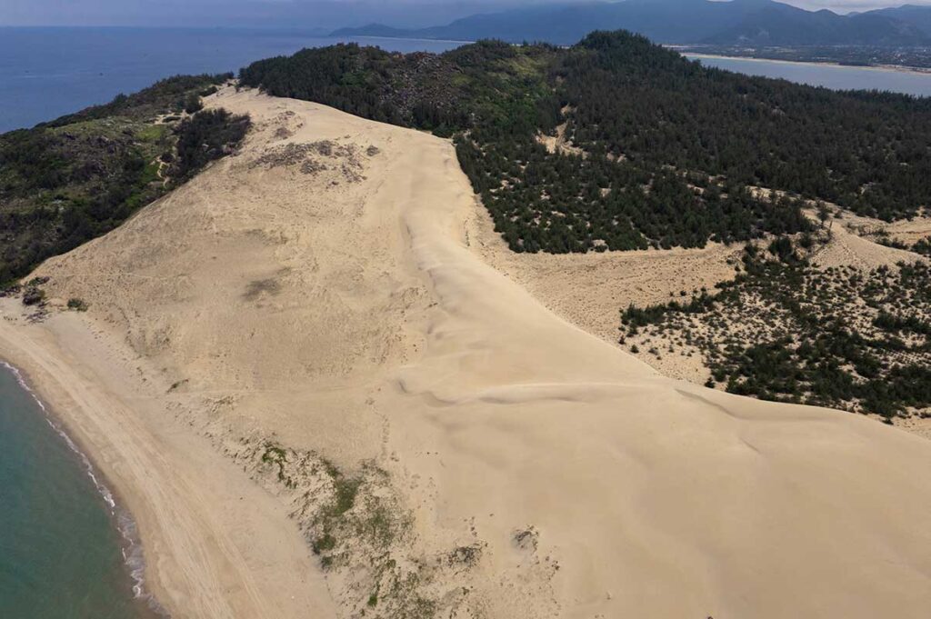 Phuong Mai Sand Dunes meeting the coastline, where golden sand merges into the blue waters of Quy Nhon Bay