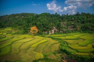 Lush green rice terraces and stilt houses in Pu Luong Nature Reserve seen during a motorbike tour on a cloudy day.