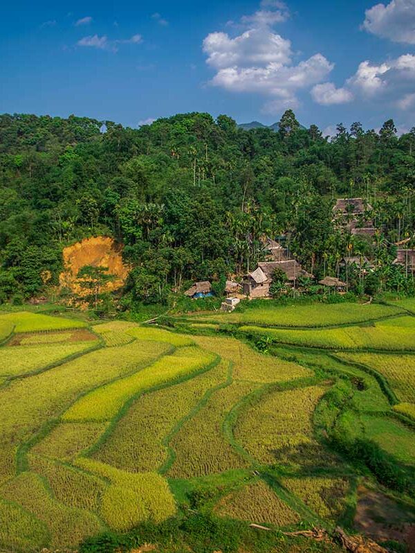 Lush green rice terraces and stilt houses in Pu Luong Nature Reserve seen during a motorbike tour on a cloudy day.