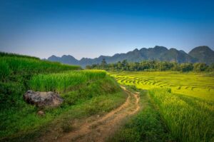 Remote rice terraces and mountain views in Pu Luong Nature Reserve along an off-the-beaten-path trekking trail.