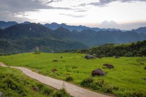 Scenic mountain landscape and winding path through vibrant green rice fields in Pu Luong during a motorbike tour from Hanoi.