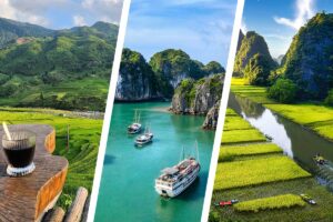 Panoramic rice fields in Sapa, cruise boats on Halong Bay, and limestone landscapes in Ninh Binh shown together for a Sapa–Halong Bay–Ninh Binh combo tour.