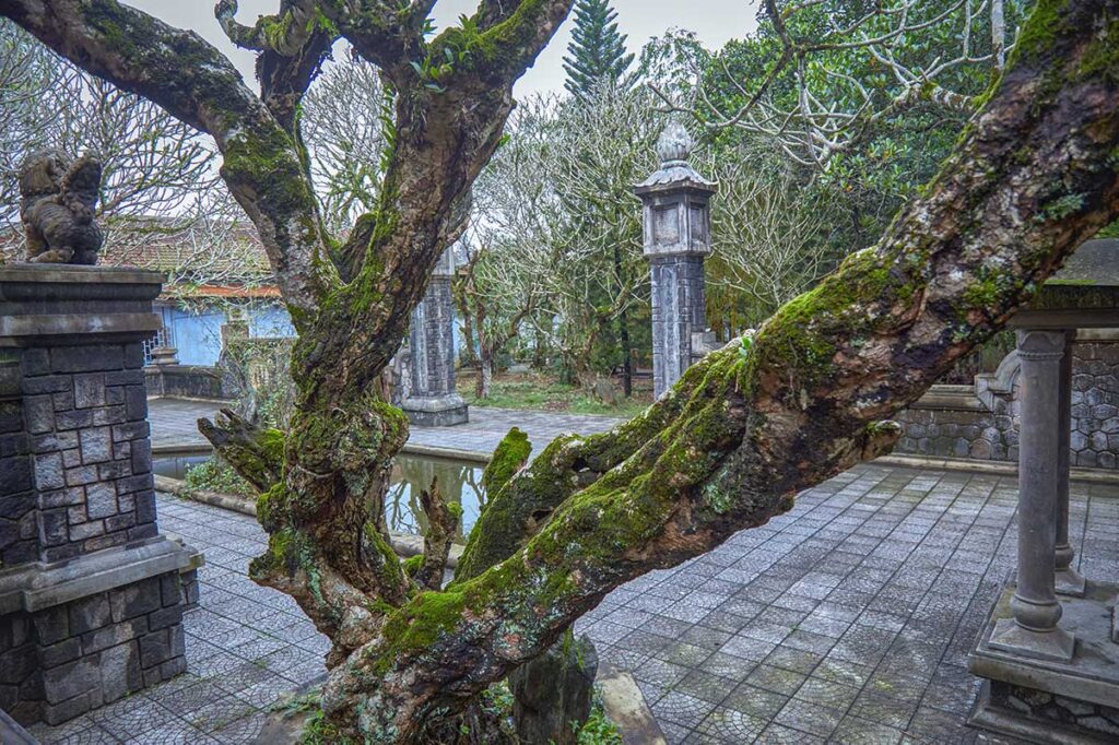 Garden courtyard of Bao Quoc Temple in Hue