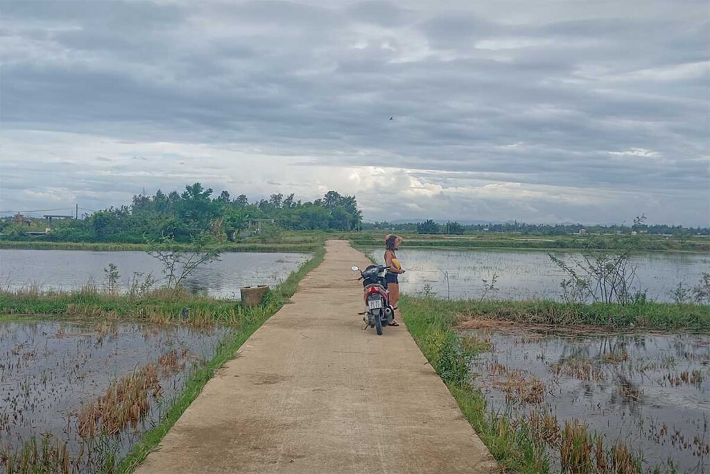 Tourist stopping her motorbike on a rural path across Cam Kim Island’s rice paddies, enjoying peaceful scenery.