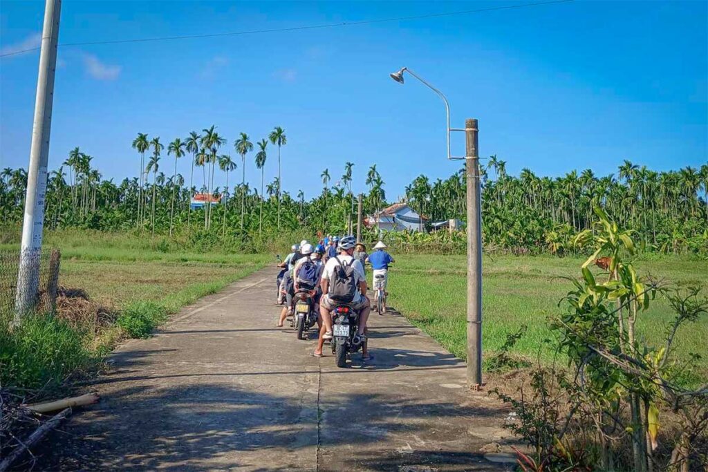 Group of travelers riding motorbikes through Cam Kim Island’s countryside, surrounded by lush fields and palm trees.