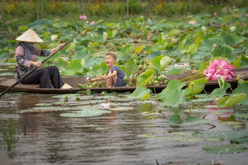 Woman paddling a boat with a child collecting lotus flowers in Dong Thap, Vietnam