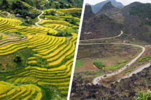 Combination of Hoang Su Phi’s terraced rice fields and the winding Ha Giang Loop roads for a Ha Giang Loop and Hoang Su Phi trekking tour.