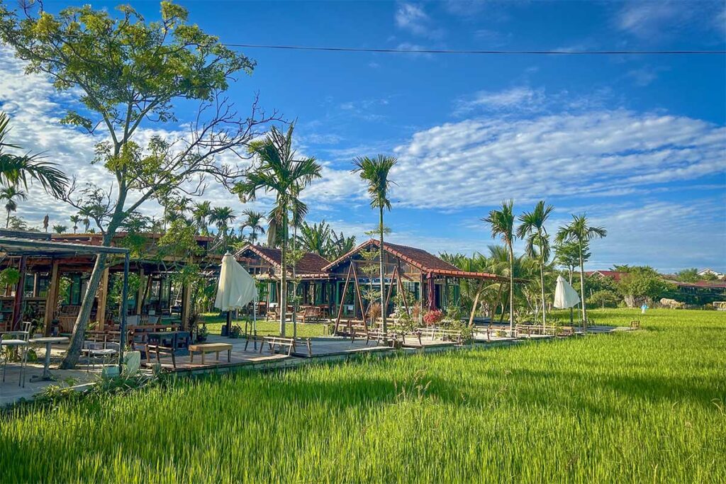 Cafe surrounded by green rice paddies under blue skies – Roving Chill House in the countryside of Hoi An.