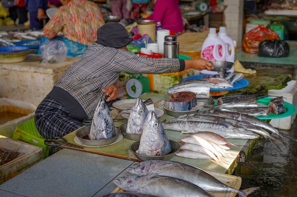 Hoi An fish market with fresh tuna on display – Stalls at Thanh Ha fish market in Hoi An showing whole tuna, fish heads, and fillets ready for sale.