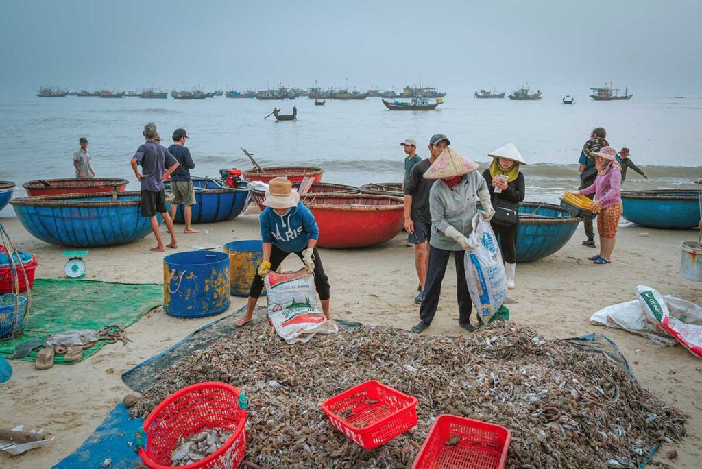 Fishermen pouring fresh catch into baskets at Tam Tien Beach fish market.