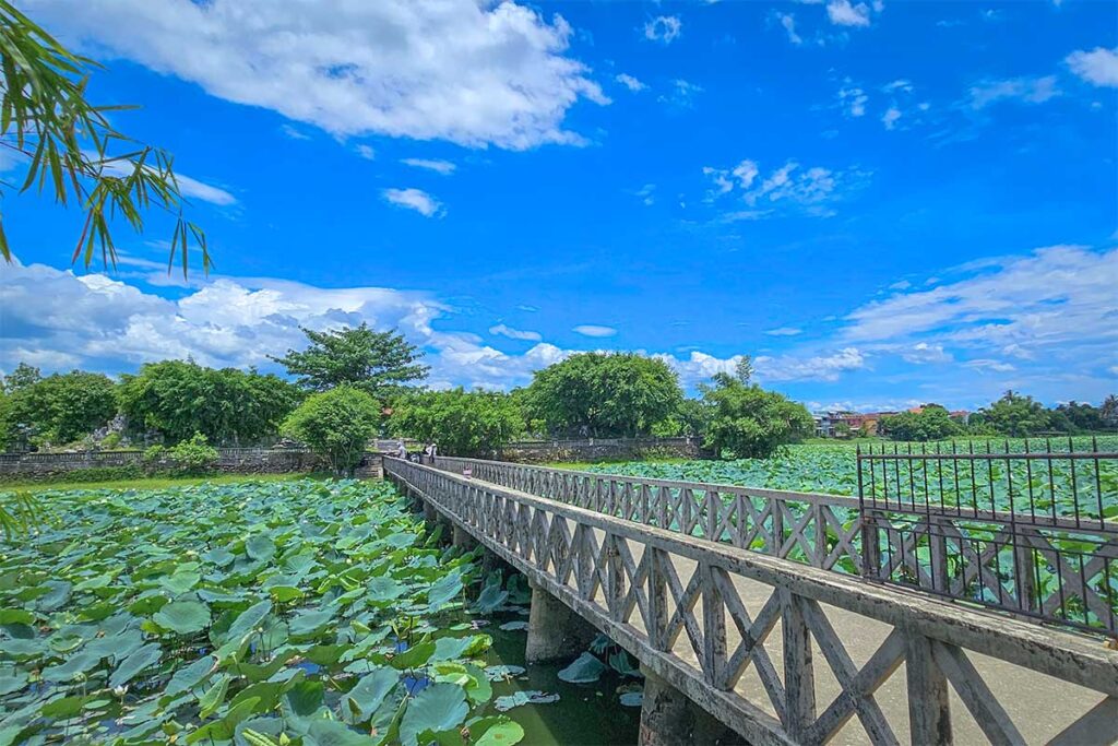 Tinh Tam Lake in Hue full of lotus plants