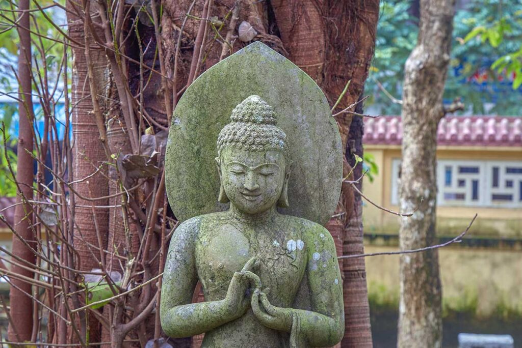 A Bodhi tree with small buddha statue inside Tu Dam Pagoda
