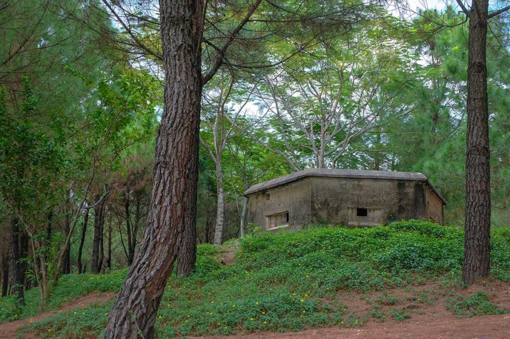 An old abandoned army bunker located in the pine forest of Vong Canh Hill