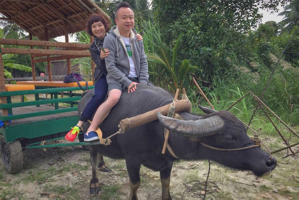 Tourists enjoying a traditional buffalo ride at Cam Thanh Coconut Village near Hoi An, an authentic rural activity in Cam Thanh Village.