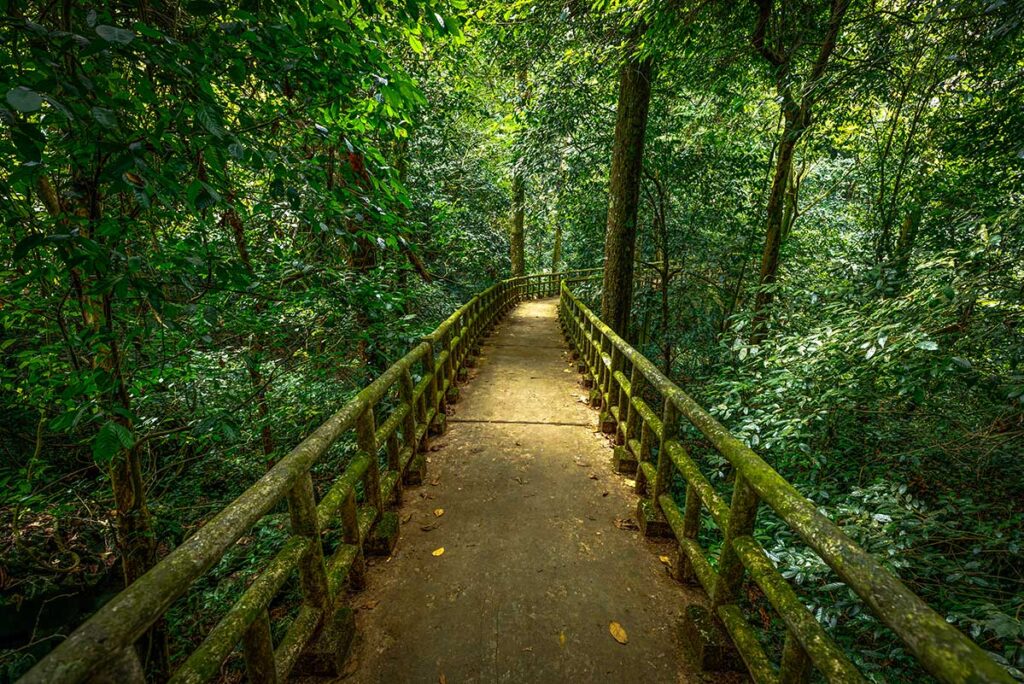 Cuc Phuong National Park