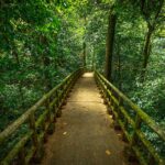 Cuc Phuong National Park