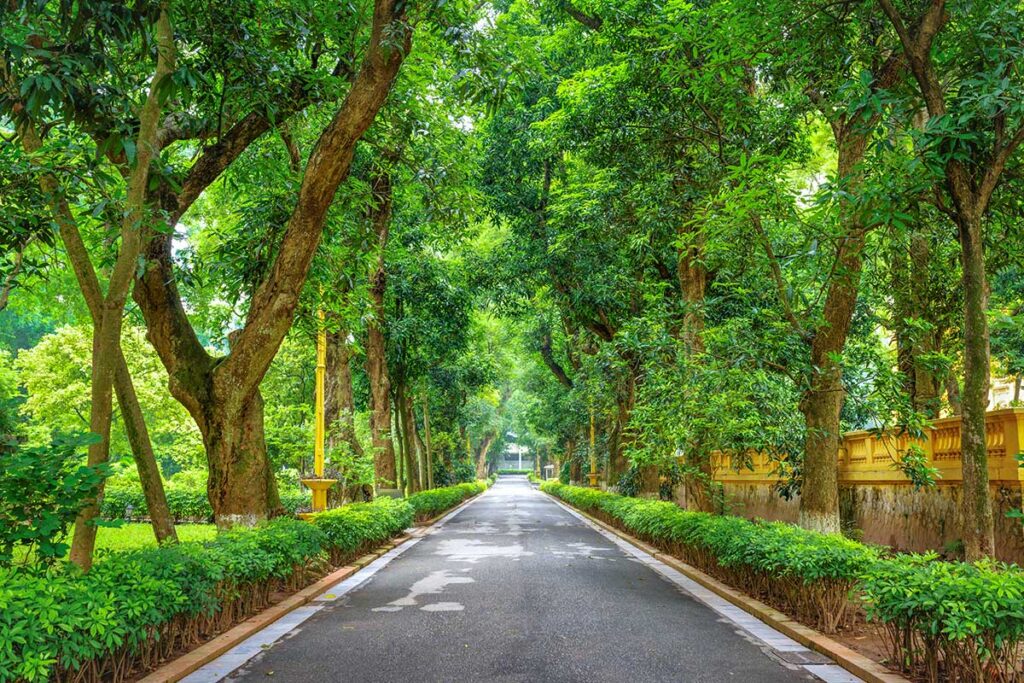 A road through the garden area of the Presidential Palace in Hanoi called Mango Alley