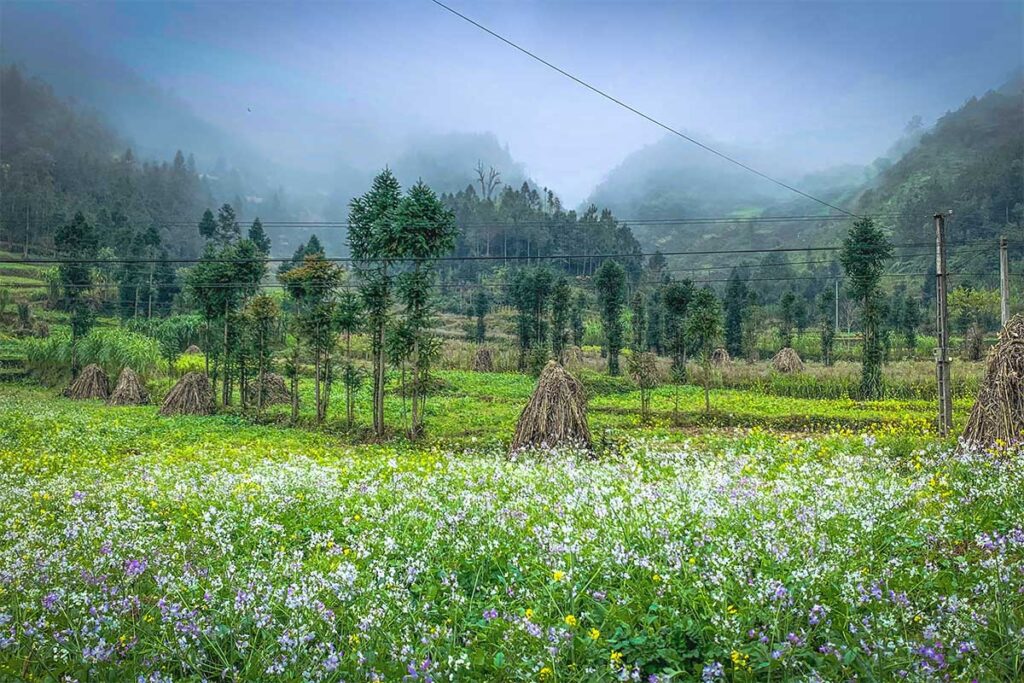 Countryside around Pao's House
