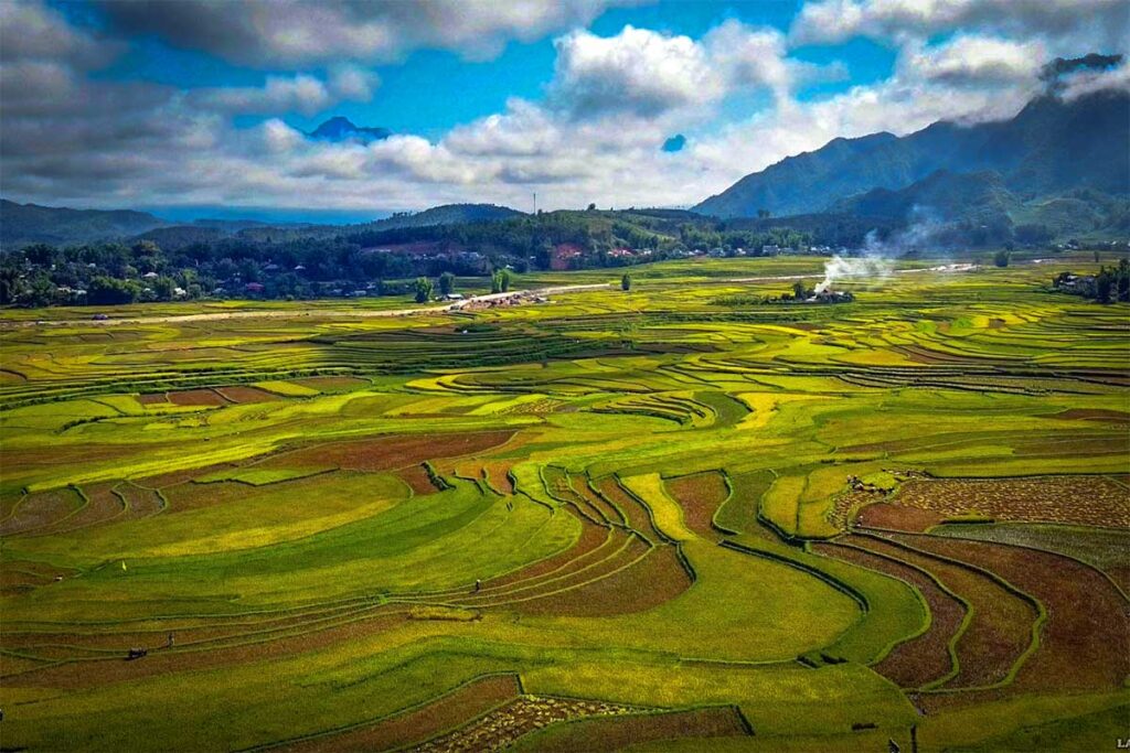 Rice fields of Muong Than Valley in Lai Chau