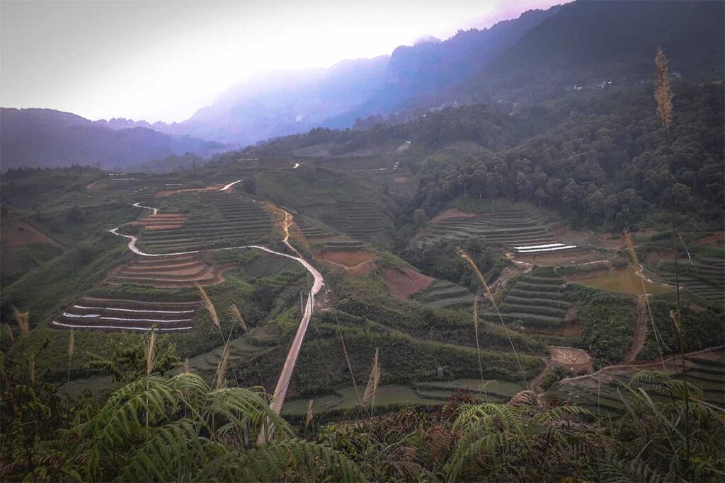 Terraced rice fields around Nam Dam Village in Ha Giang