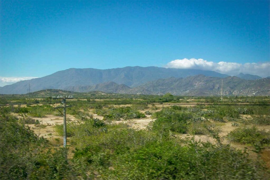 Dry coastal landscape near Phan Rang seen from a Vietnam train, with sandy terrain, low vegetation, and mountains in the background