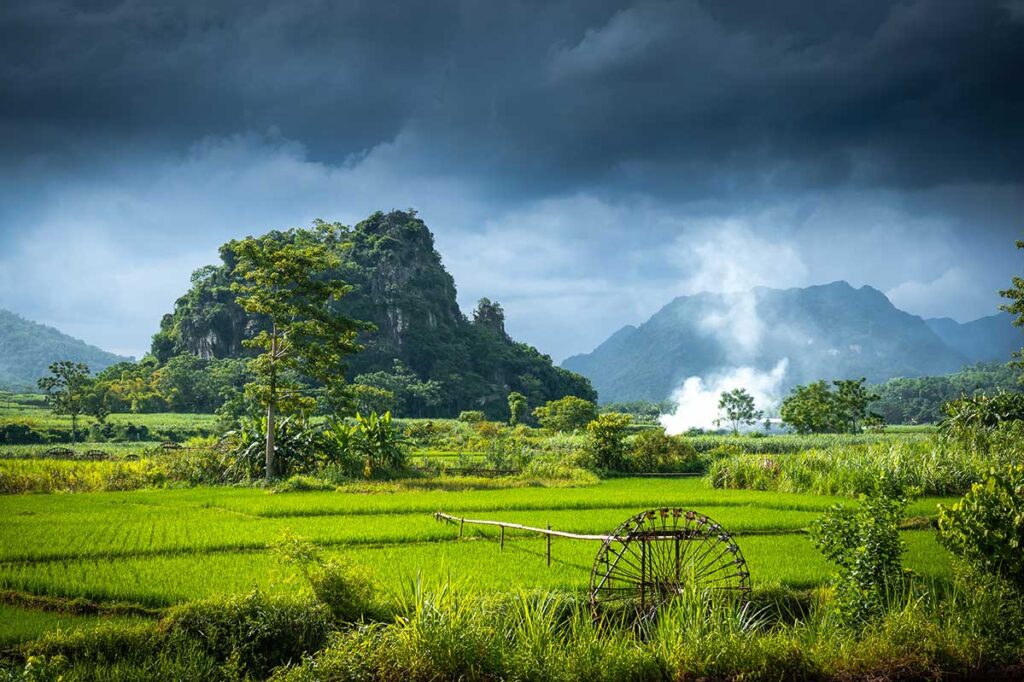 Pu Luong Nature Reserve rice fields scenery with bamboo water wheels