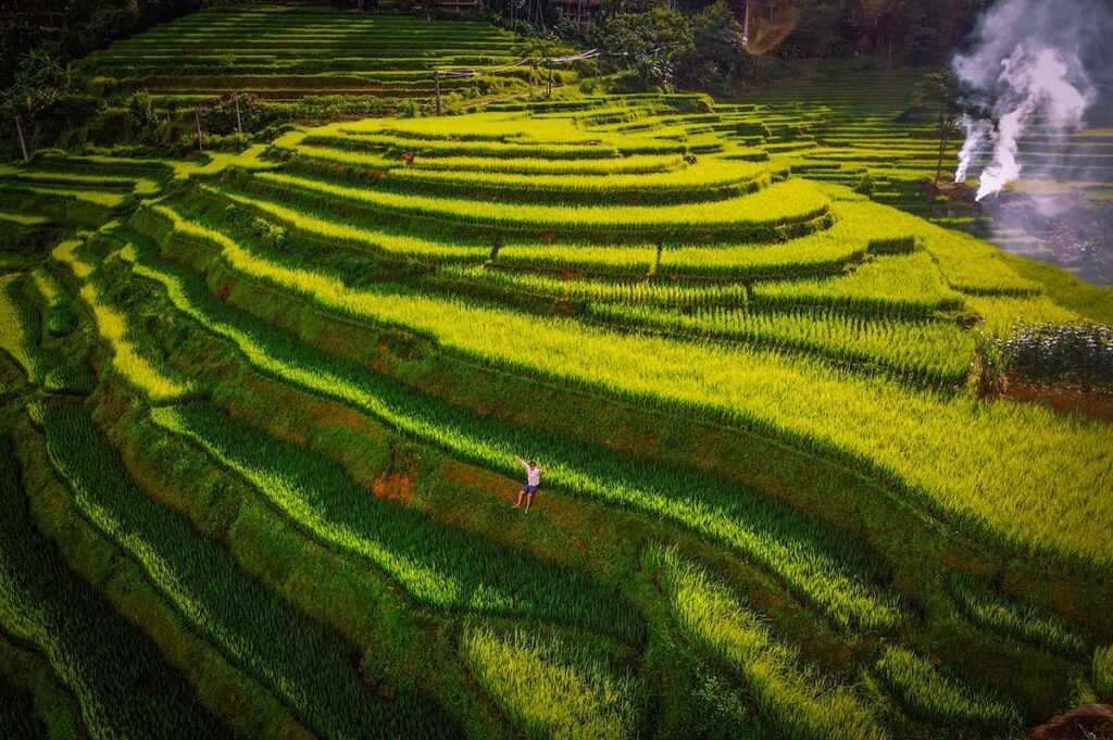 Terraced rice fields of Pu Luong Nature Reserve during close to rice harvest season with green and yellow hues on the fields