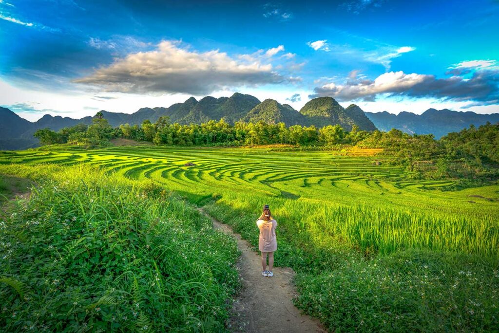 A woman trekking through stunning terraced rice fields of Pu Luong Nature Reserve with long green rice growing