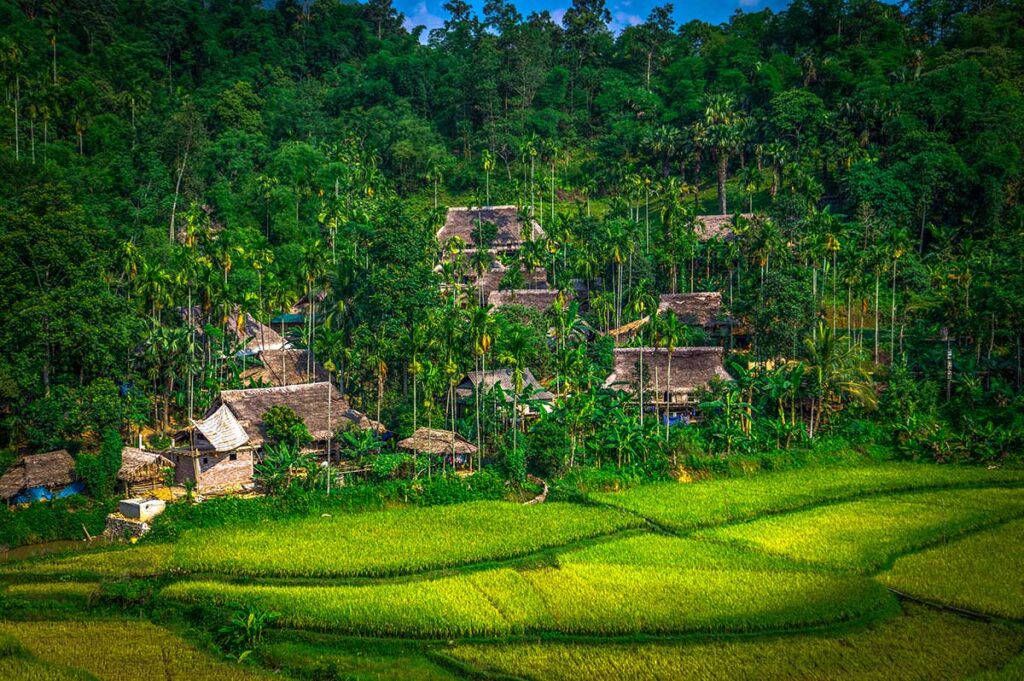 Local village located in the tree line on a hills along terraced rice fields near harvest time in Pu Luong