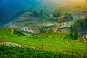 Colorful rice terraces around Sapa at sunset, highlighting landscapes visited on a Sapa sightseeing, homestay, and trekking tour.