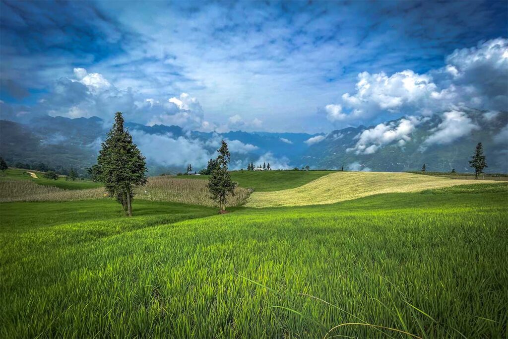 Vast grassy plains of Suoi Thau Plateau in Xin Man