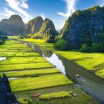 Aerial view of the river of Tam Coc where you can take a boat ride along the green rice fields