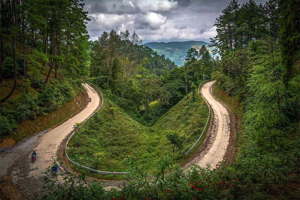 Road leading through Yen Minh Pine Forest in Ha Giang