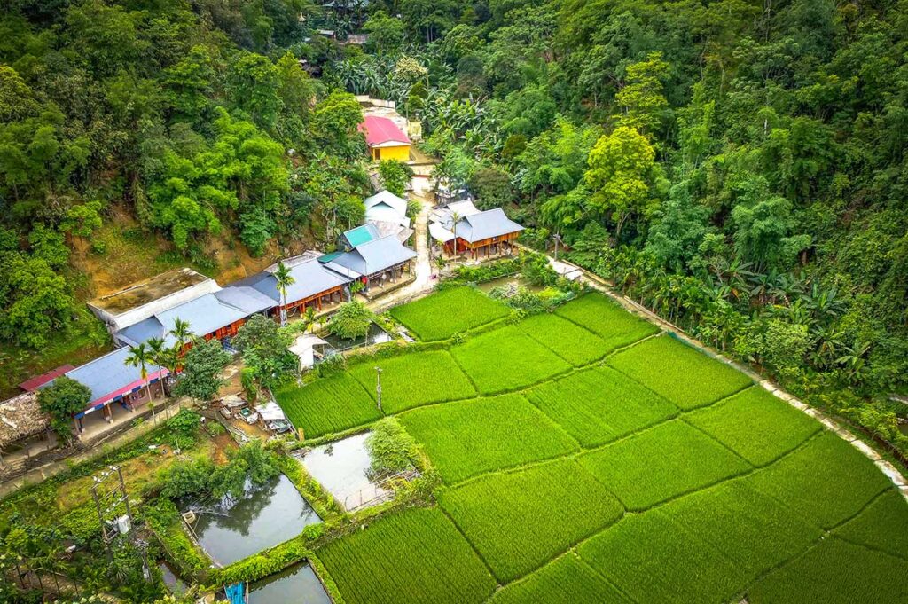 Aerial views of Kho Muong Village with green rice fields in the front and jungle mountains in the back