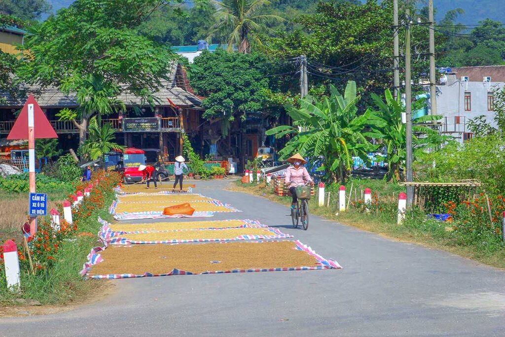 Rice laying out to dry on a main road of Lac Village in Mau Chau